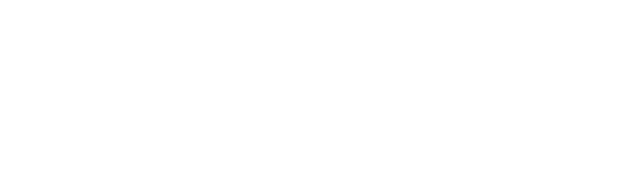 Dr. Idriss